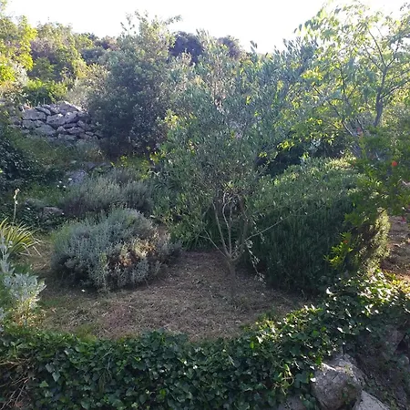 Casa de Férias House Radojka Tisno