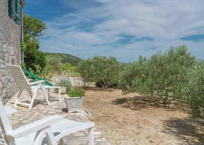 Prázdninový dům House Radojka *