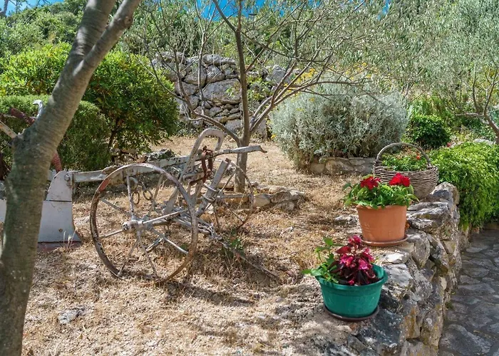 House Radojka Vakantiehuis Tisno