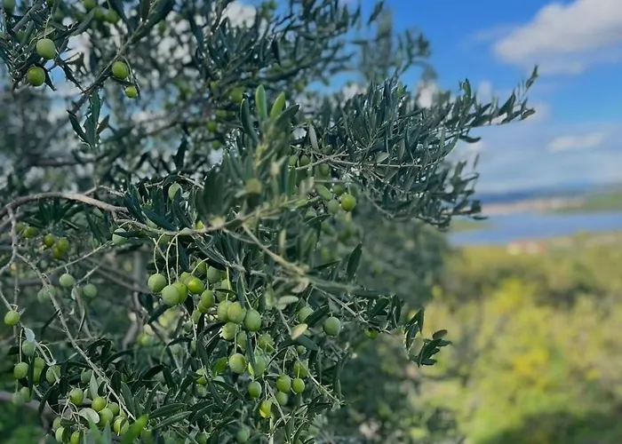 House Radojka * Tisno