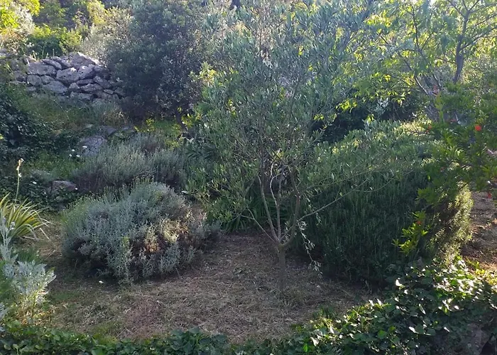 Vakantiehuis House Radojka Tisno