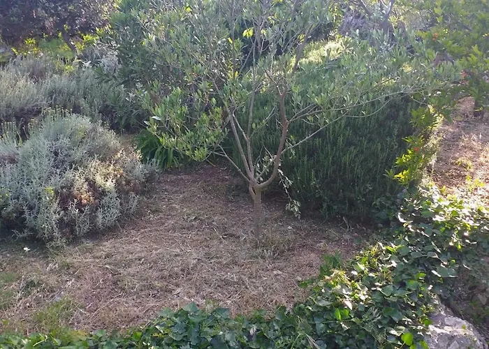 House Radojka * Tisno